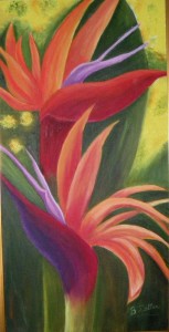 Exotic Flowers