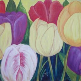 Tulips