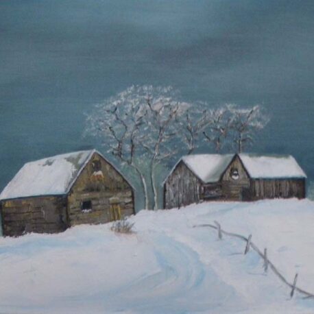 Winter Cabins