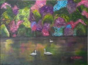 Swans Swimming